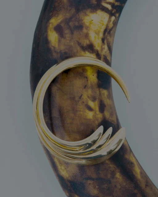 Close-up studio shot of an aged banana with a gold bracelet resting on its surface, showcasing decay and luxury in contrasting textures.