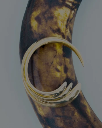 Close-up studio shot of an aged banana with a gold bracelet resting on its surface, showcasing decay and luxury in contrasting textures.