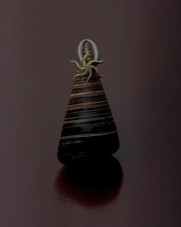 Close-up still life jewelry photography of a metallic gold star pendant atop a dark striped conical shell against a deep brown reflective surface