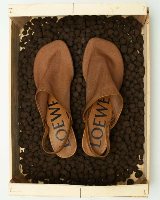 Close-up of tan Loewe slingback heels displayed in a light wooden box filled with brown decorative spheres, studio shot.