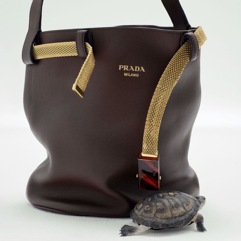 Luxury Prada handbag in rich brown leather alongside a small turtle in a studio setting, showcasing fashion and nature elements.