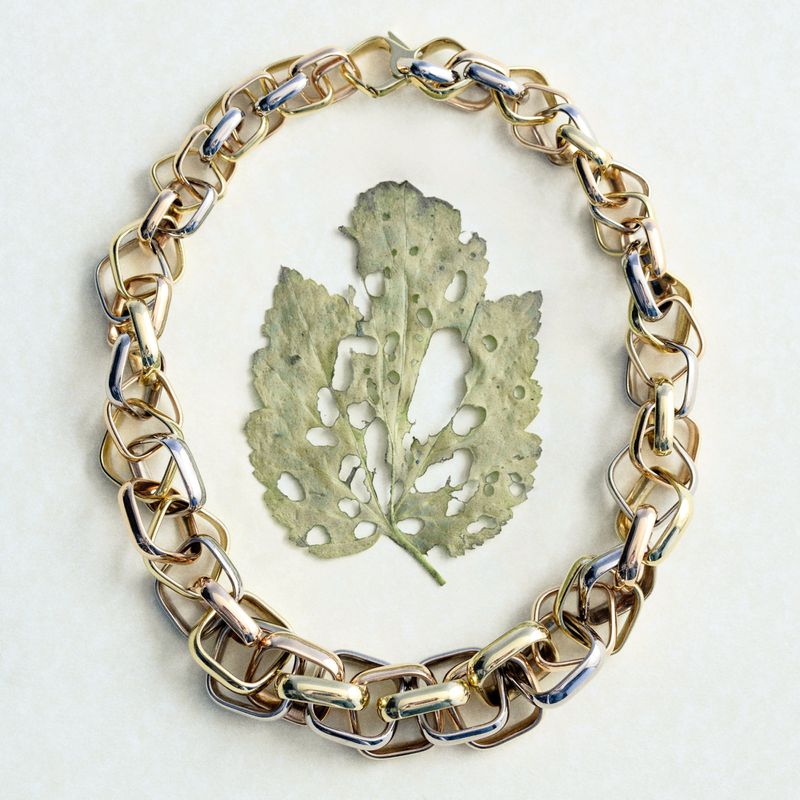 A gold and silver chain necklace surrounds a dried leaf with holes, all on a plain white background in a well-lit studio shot.