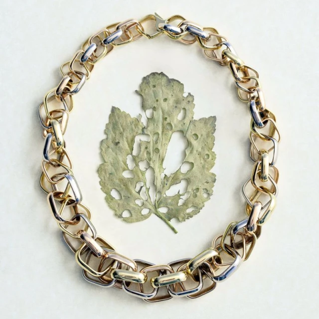 A gold and silver chain necklace surrounds a dried leaf with holes, all on a plain white background in a well-lit studio shot.