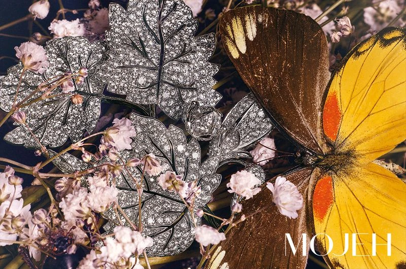 Still life showcases an elaborate diamond leaf brooch, a butterfly, and small white flowers on a dark background. Jewelry advertisement.