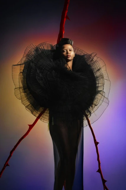 Woman in dramatic black tulle collar and sheer dress, posed against a vibrant gradient backdrop with stylized red rose branch.