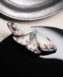 Close-up of a butterfly brooch with white shell wings and a diamond body resting on a black surface.