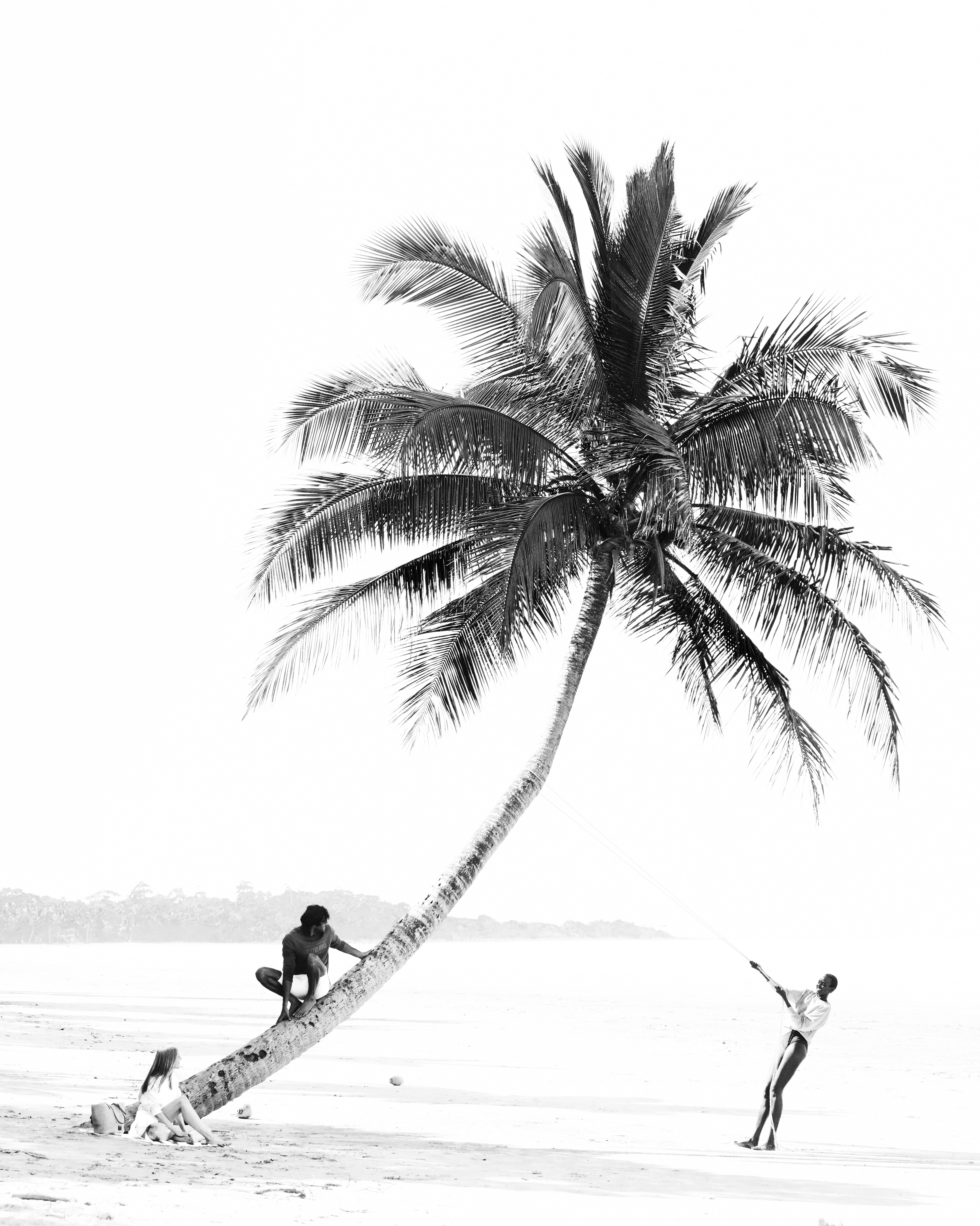 Monochrome beach scene with a tall palm tree, dark-skinned man climbing the tree, and two other people on the white sand.