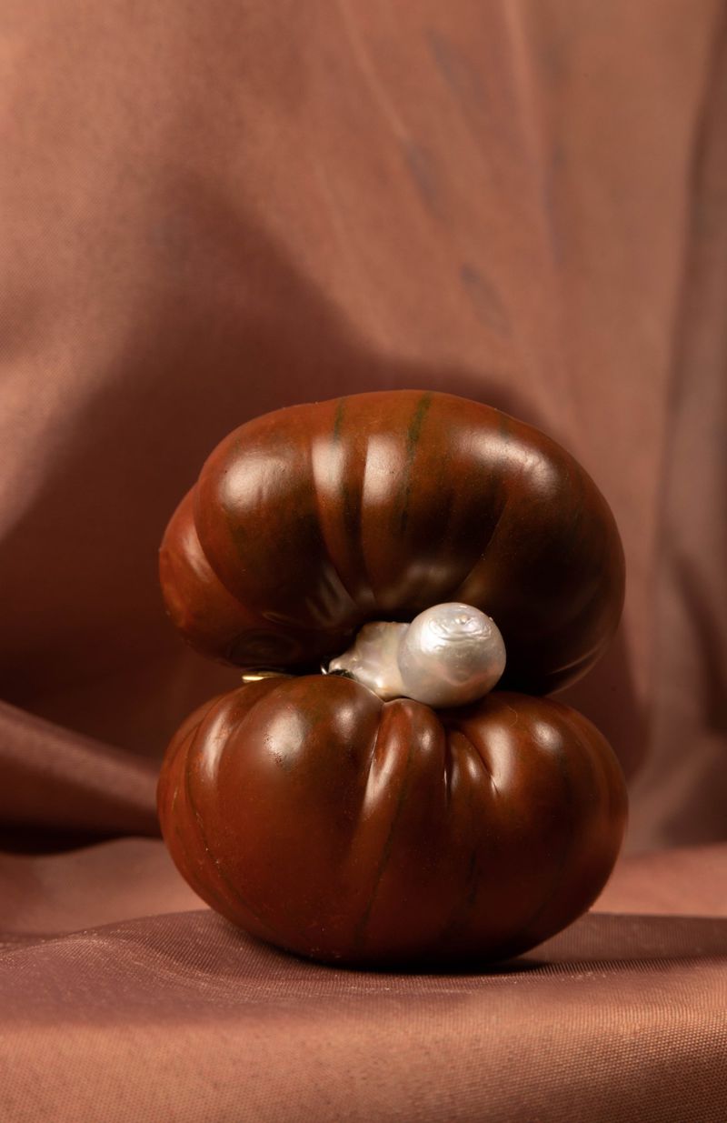 Still life shot of two brown tomatoes stacked on top of each other with a small, decorative, white pumpkin between them.