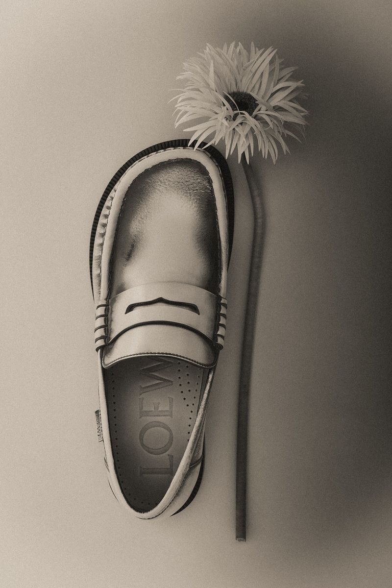 Elevated studio shot of a white leather loafer from Loewe beside a white gerbera daisy, presenting a luxurious and elegant product showcase.