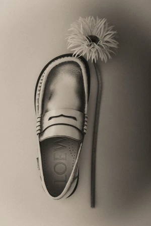 Elevated studio shot of a white leather loafer from Loewe beside a white gerbera daisy, presenting a luxurious and elegant product showcase.