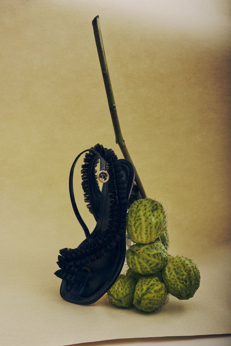 Black sandal with a single strap and embellishments, styled with green spiky fruit and a branch against a soft beige background.