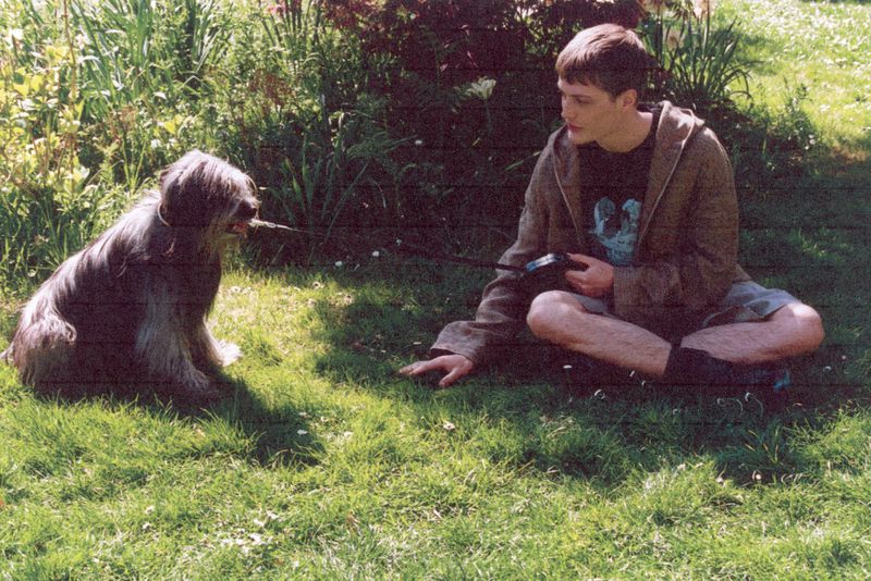 Young adult and a medium-sized shaggy dog sit facing each other on a sunlit grass lawn, with green foliage in the background.
