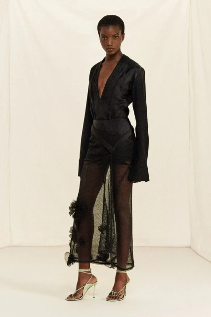 Elegant Black Fashion: A slender African-American woman showcases a long-sleeved dress with a sheer ruffle skirt, complemented by high heels.