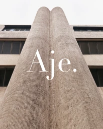 Low angle view of massive brutalist concrete columns and building facade with large white typography overlay.