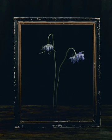 Still life photography of two purple flowers framed by an ornate dark frame, set against a black backdrop and dark wooden surface.
