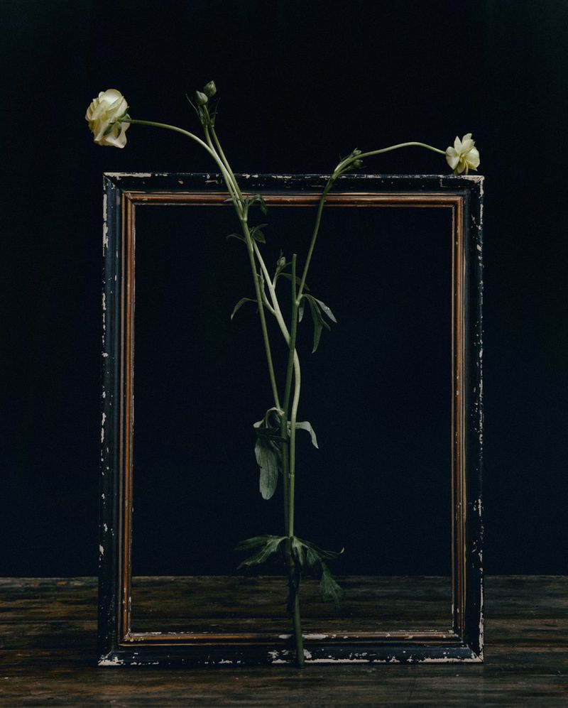 Floral arrangement featuring delicate white flowers and green stems presented within a weathered, vintage picture frame on wood.