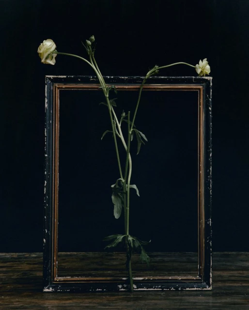 Esther Finch