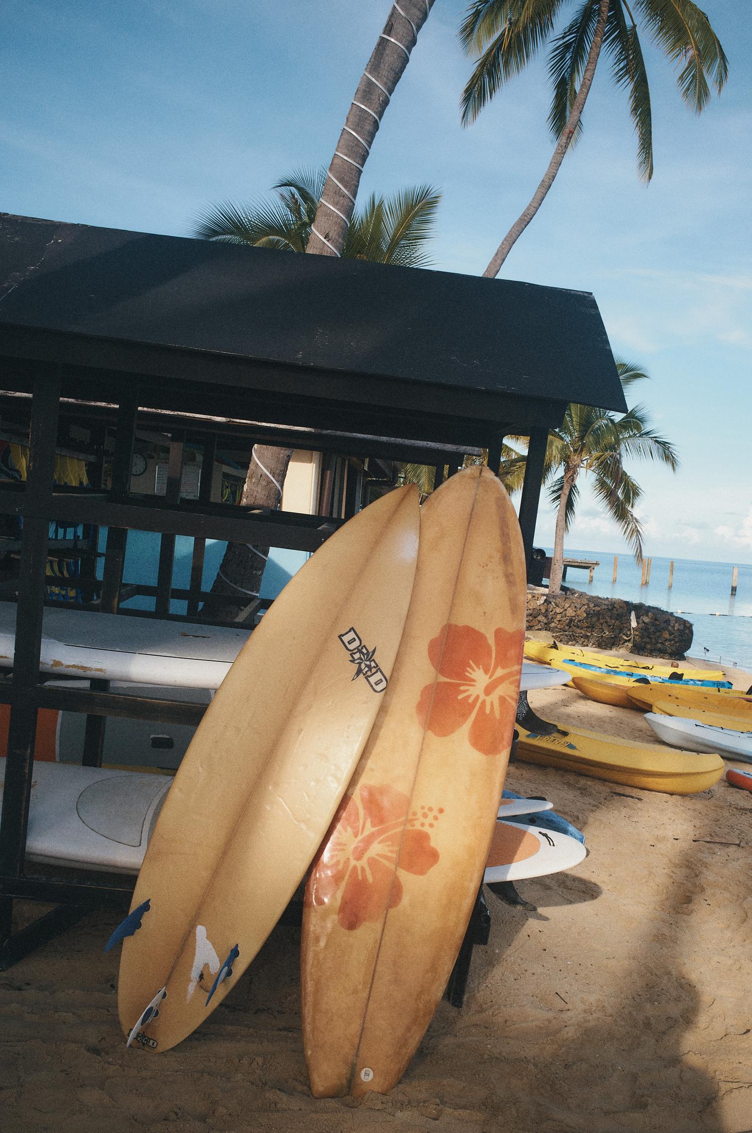 Two surfboards with hibiscus flower designs stand near the beach surf rack, with palm trees and the ocean visible in the background.