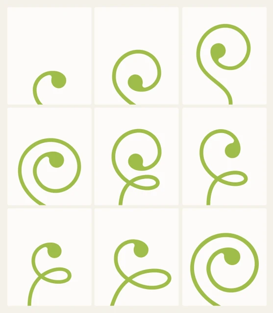 Brand Identity