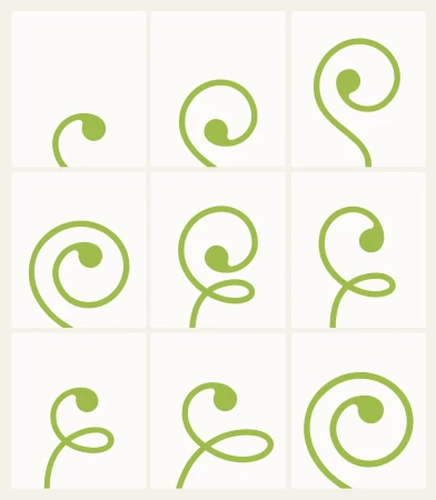 Green spiral growth pattern on white background. Nine frames showing the evolution of a swirl shape, illustration. Visual art.