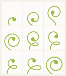Nine-panel grid of green organic curl and loop brand identity illustrations on a white background by Caserne for Avril