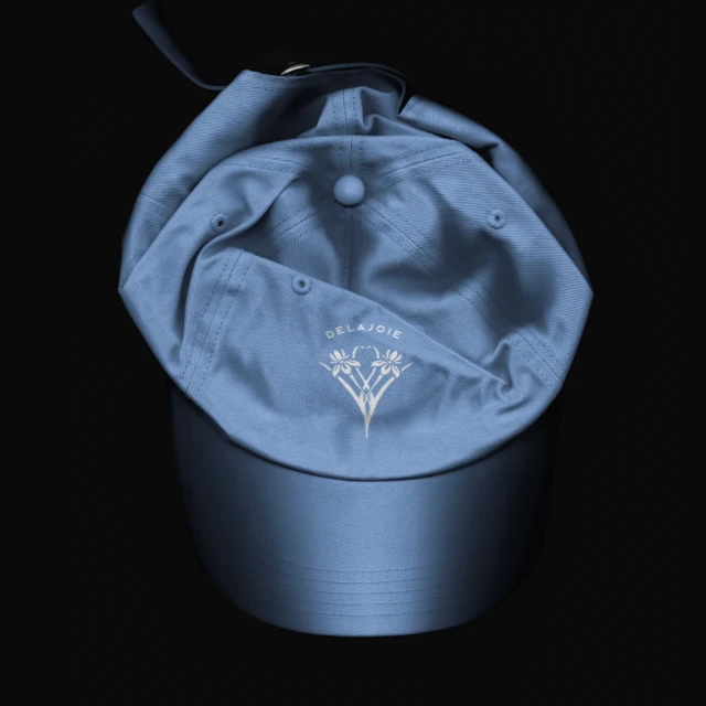 Close-up shot of a light-blue baseball cap with black brim, featuring a white logo and the word DELAJOIE against a dark backdrop.