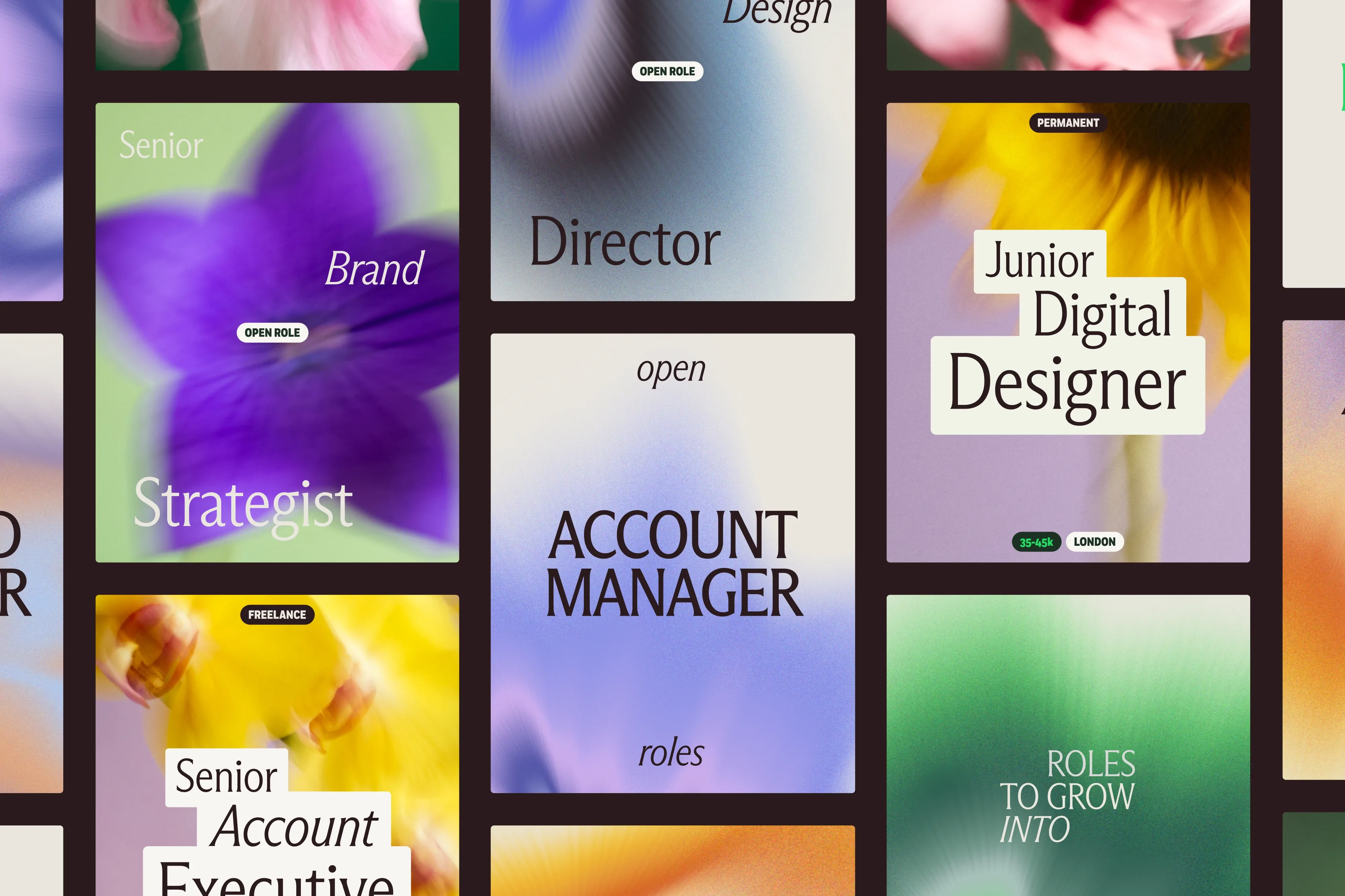 Collage of graphic job postings with colorful floral backgrounds. Positions listed include Brand Strategist, Account Manager, and Digital Designer.