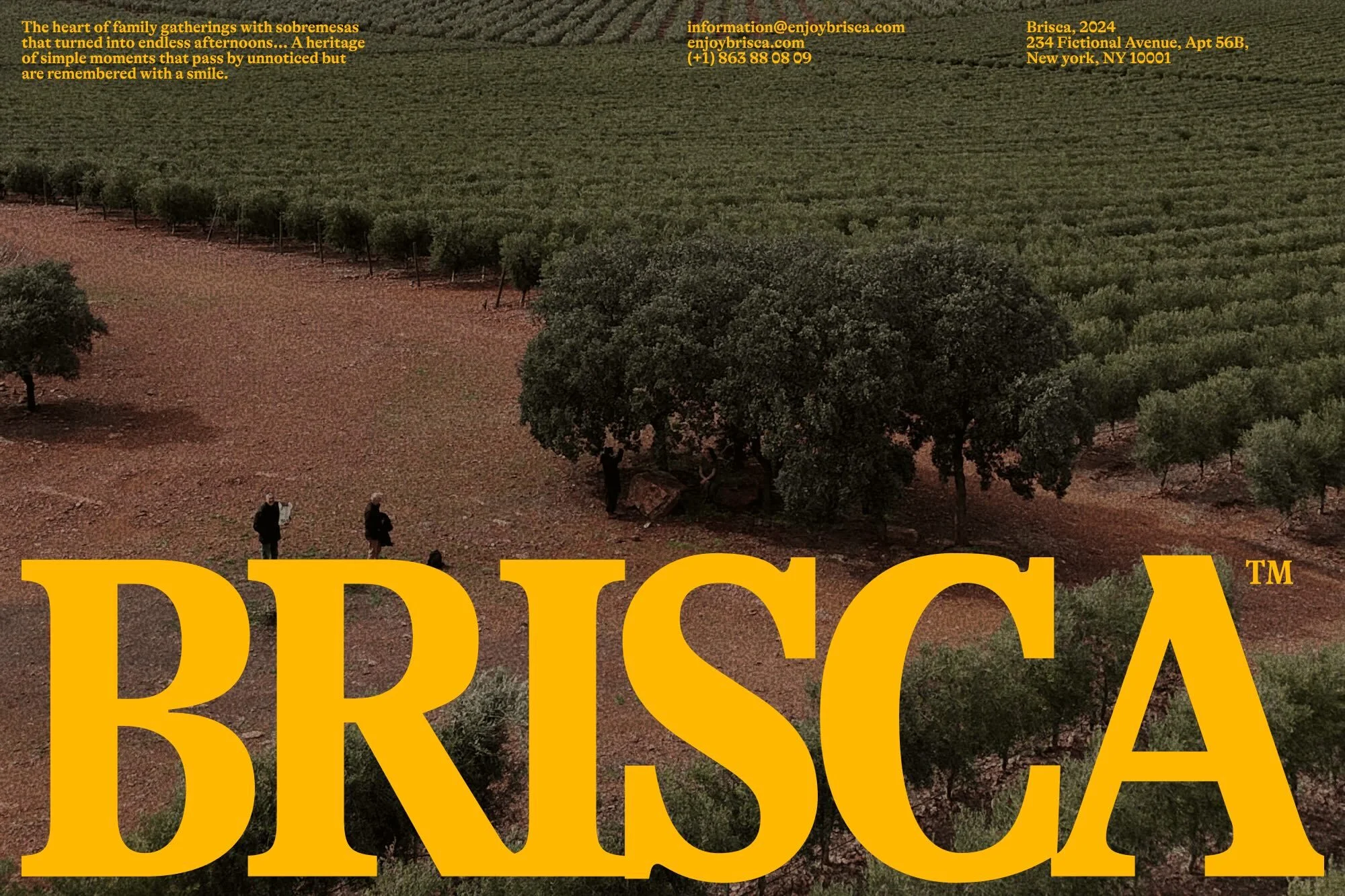 Olive grove landscape with two people in the distance and large 'Brisca' logo in the foreground with golden-yellow letters.
