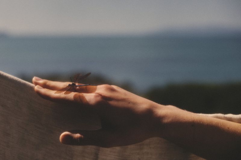 Close-up of a human hand resting on a textured fabric surface with a dark dragonfly perched on the fingers against an ocean backdrop.