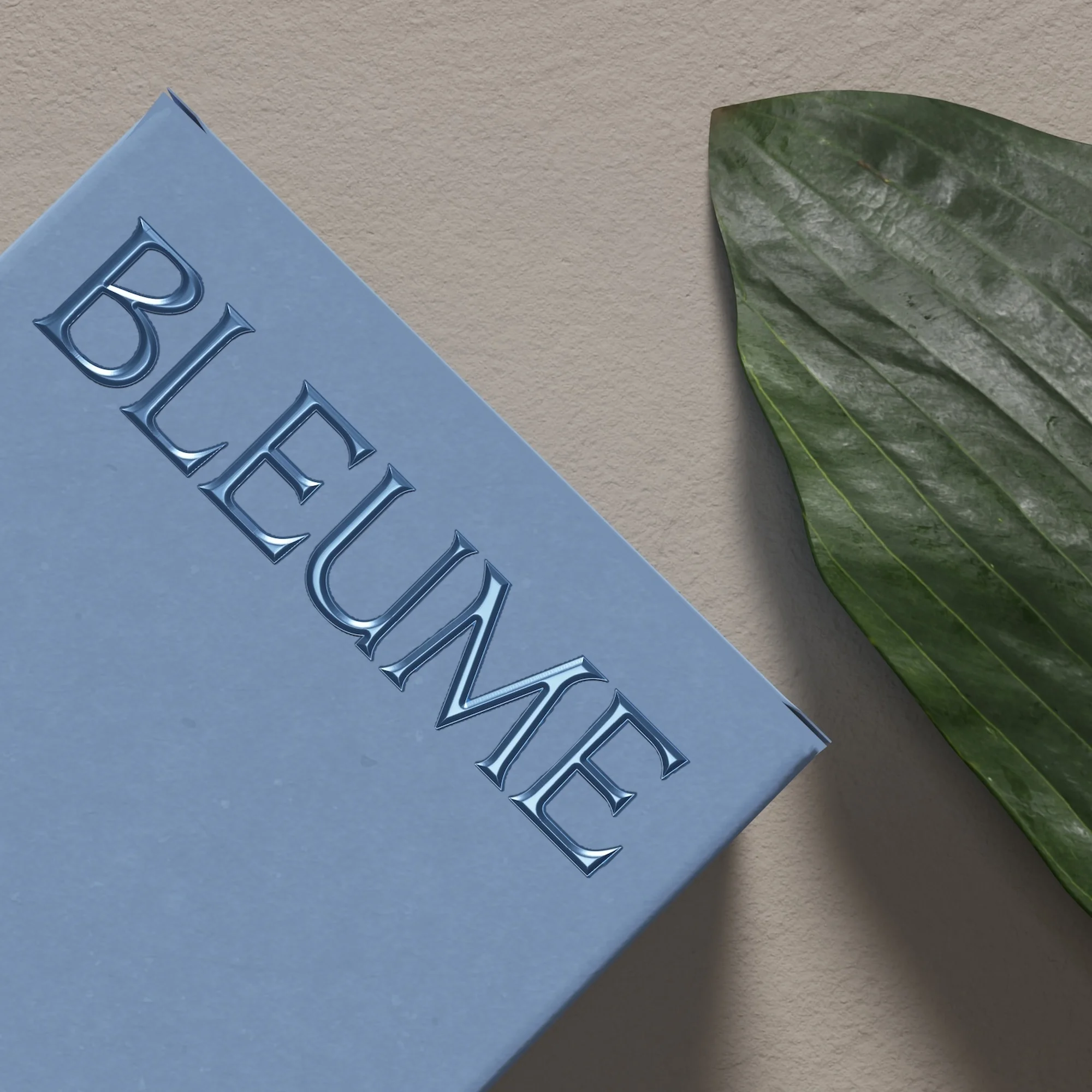Angled close-up of a pale blue box with elegant embossed text 'BLEUME,' accented by a dark green leaf on a beige backdrop.