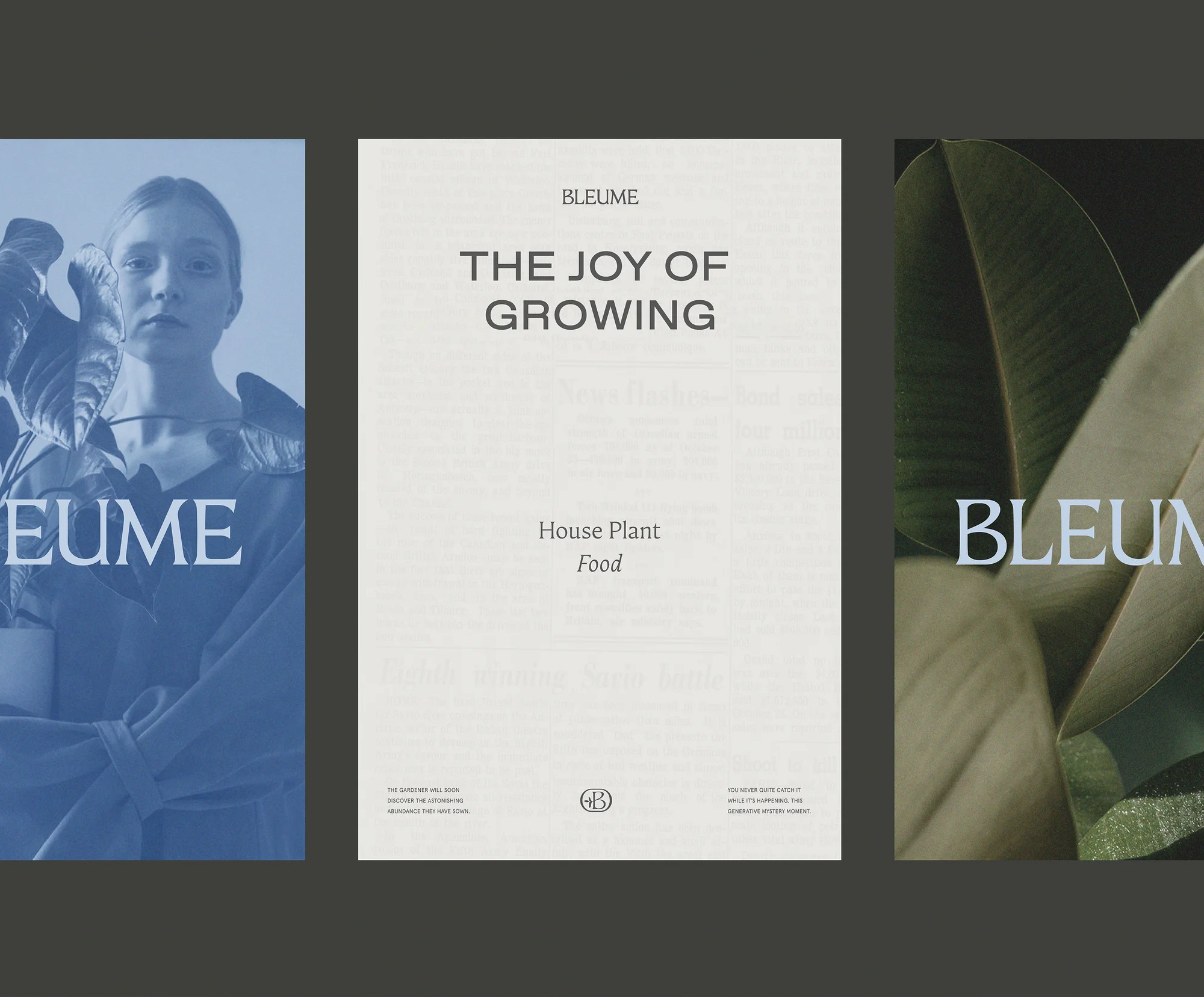 Artistic display of three Bleume magazine covers featuring a woman, text, and plant imagery, creating an aesthetic presentation.