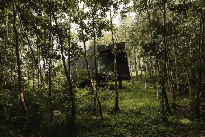 Modern black cabin nestled in a green forest. Tall trees surround the architectural building with a grassy foreground.