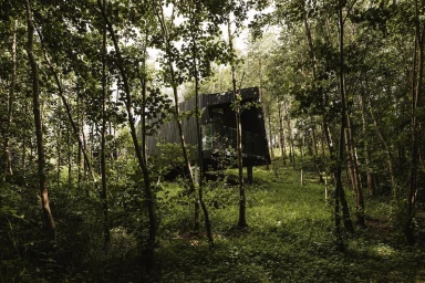 Modern dark timber cabin nestled among lush green trees in a dense forest setting