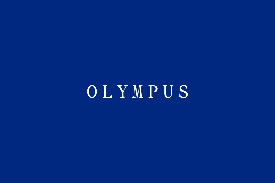 Brand Identity
