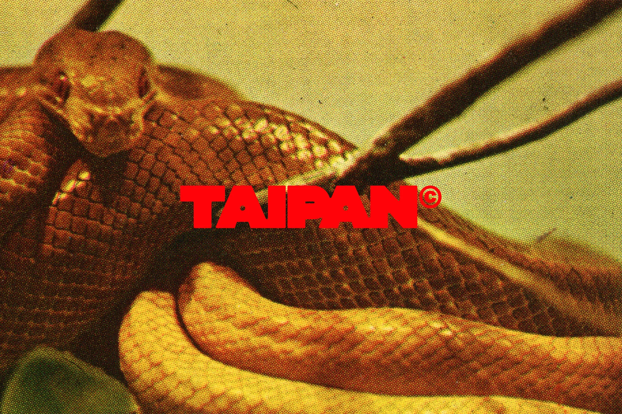 Close-up of a coiled brown snake with patterned scales, set against a textured yellow-green background with brown branches and red text.