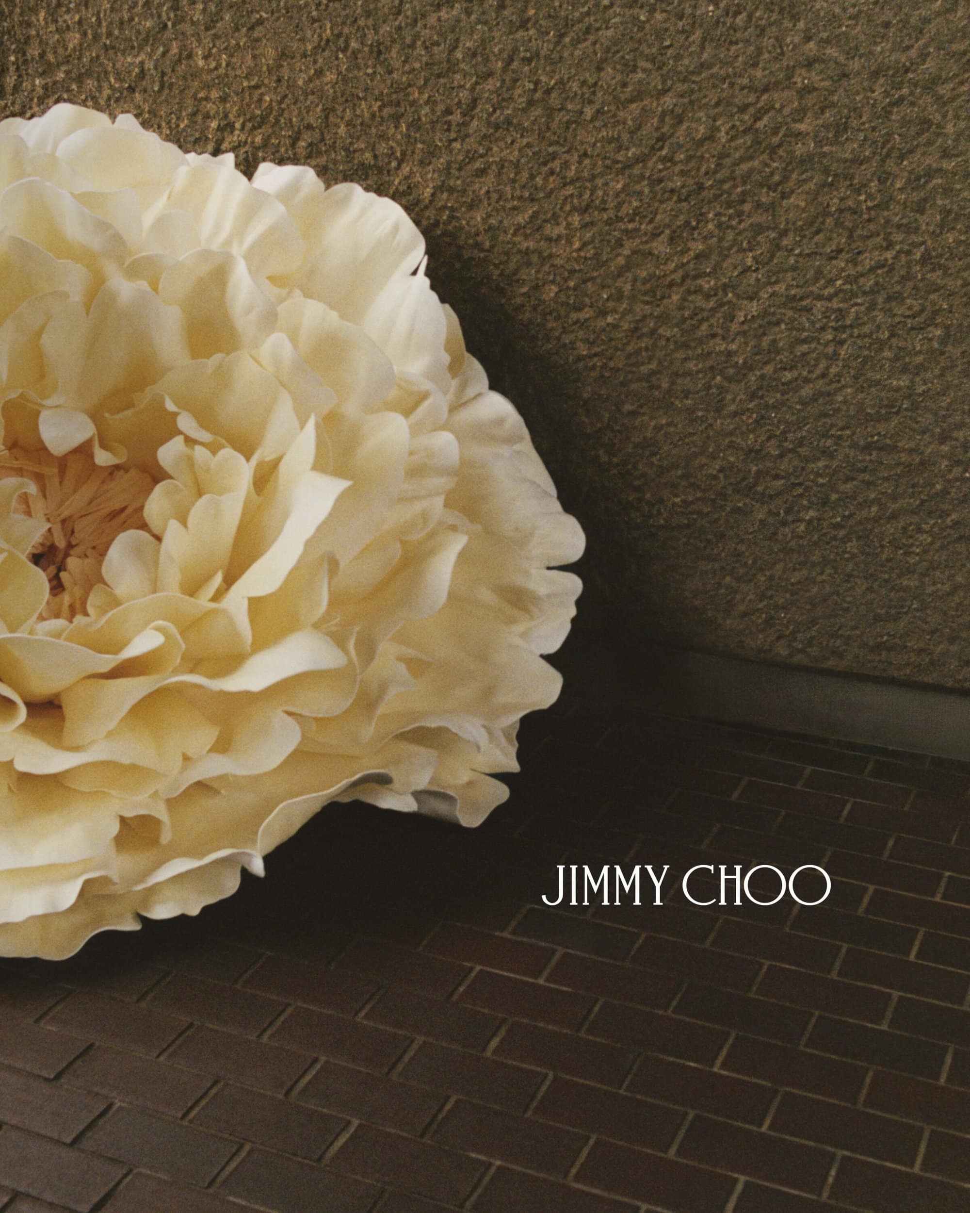 Close-up of a cream-colored flower resting on a textured brown surface with the Jimmy Choo logo visible, soft lighting, and neutral tones.