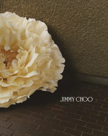 Close-up of a cream-colored flower resting on a textured brown surface with the Jimmy Choo logo visible, soft lighting, and neutral tones.