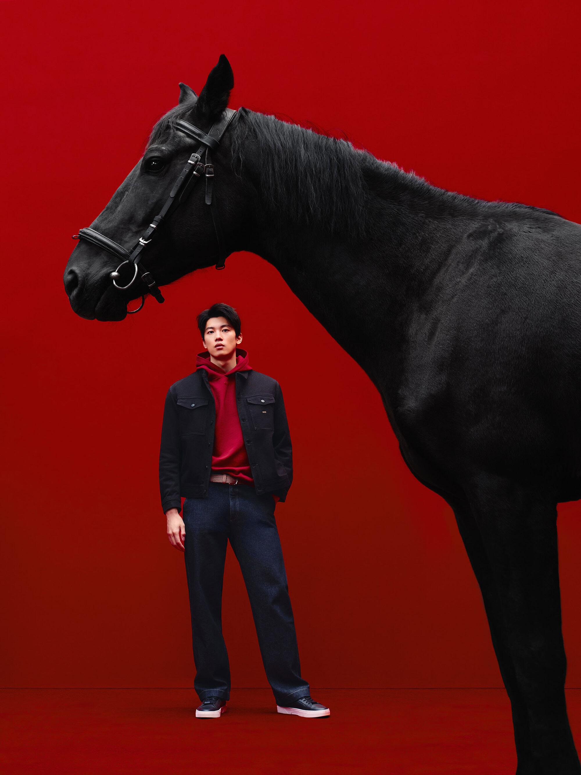 A striking fashion portrait features an Asian man in a casual outfit standing next to a large black horse against a bold red backdrop.