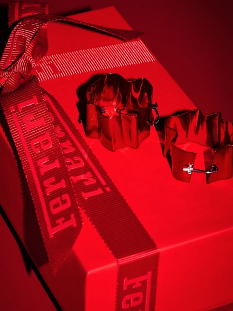 Holiday 2025 Ad Campaign