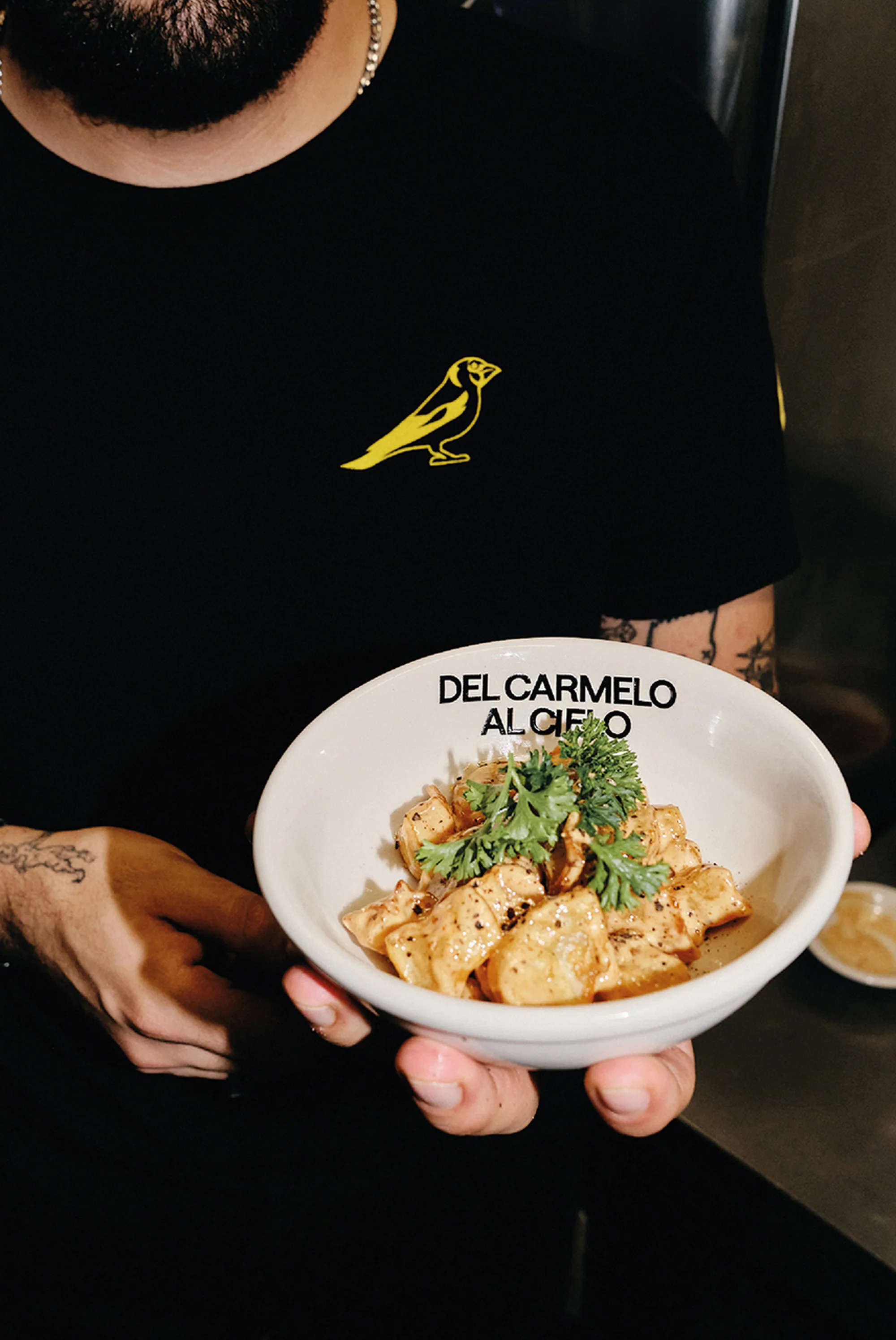 Person holds a bowl of food with garnishes. The person is wearing a black t-shirt with a yellow bird design. Food presentation.