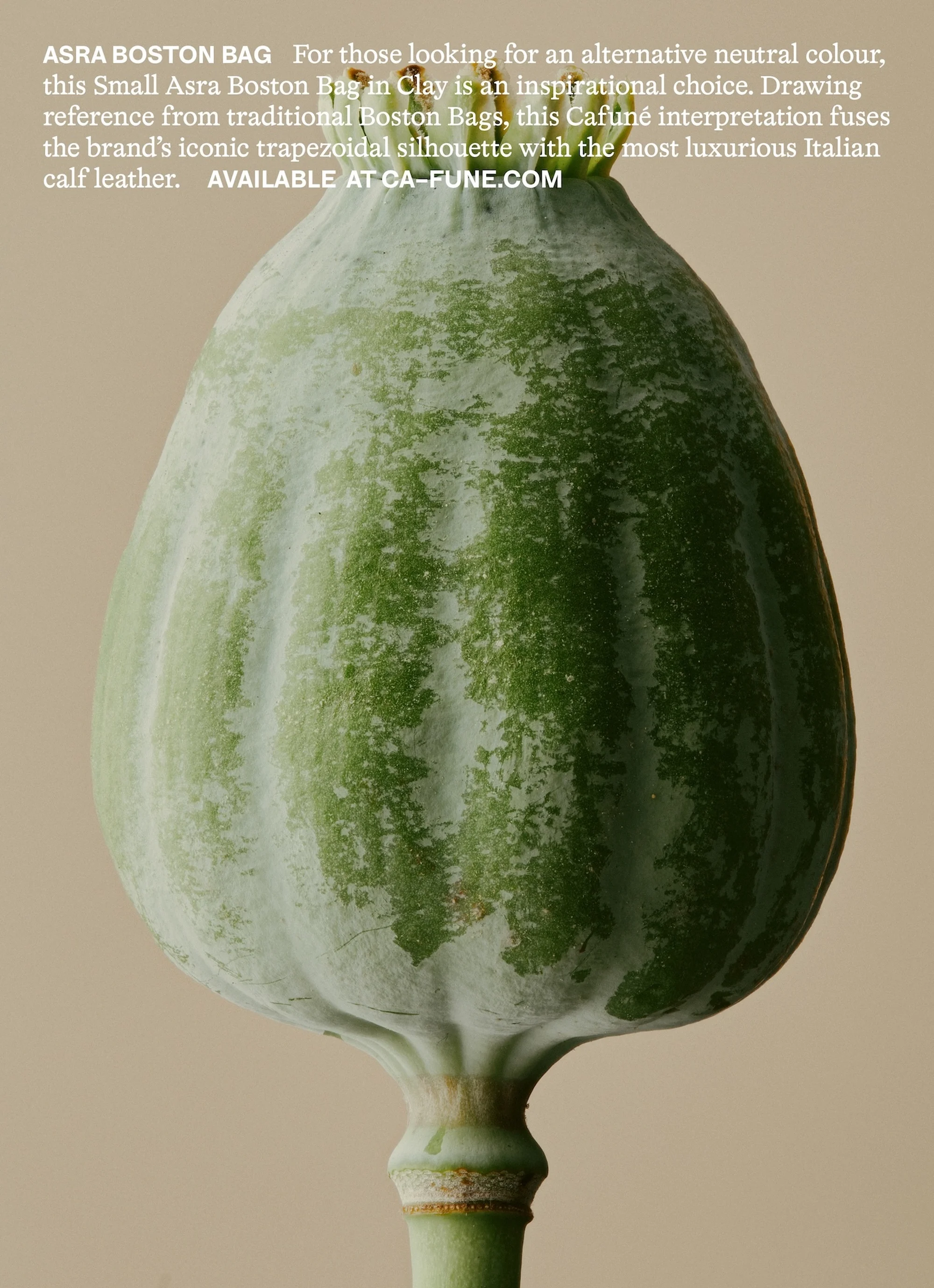 Close-up studio shot of a green seed pod with a stem on a light brown background, featuring copy promoting an ASRA Boston Bag.