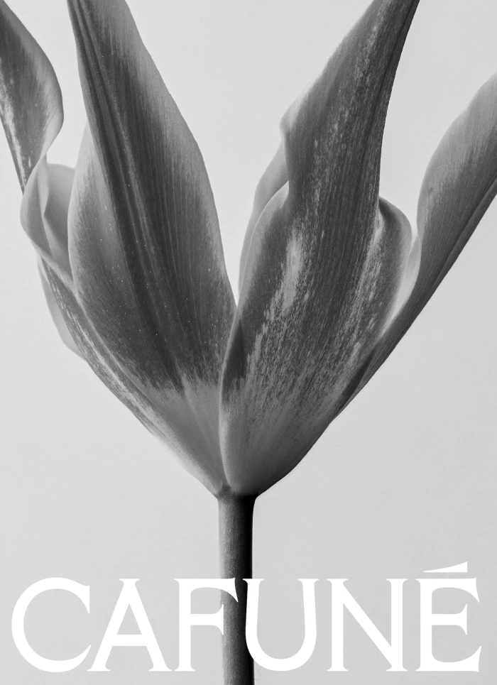 Close-up black and white photograph of a tulip flower with the brand name Cafune printed at the bottom.