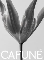 Close-up black and white photograph of a tulip flower with the brand name Cafune printed at the bottom.