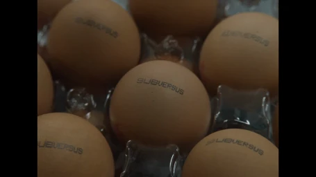 Close-up of brown eggs stamped with the word Subversus resting inside a clear plastic carton.