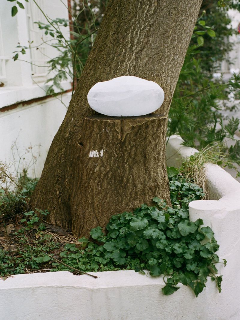 A weathered tree trunk with a white, round object on top sits against an outdoor setting, surrounded by lush greenery and white walls.
