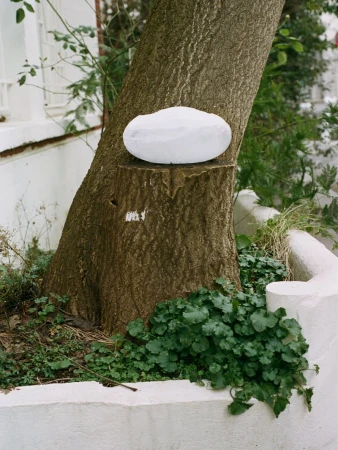A weathered tree trunk with a white, round object on top sits against an outdoor setting, surrounded by lush greenery and white walls.