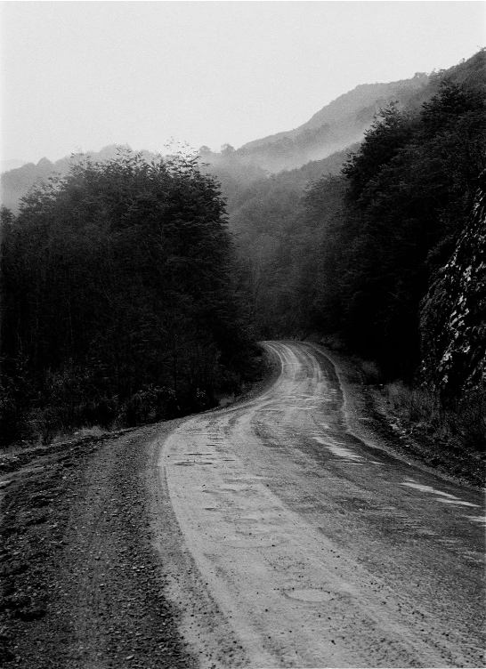Monochromatic photograph of a winding dirt road surrounded by trees leading into misty mountains, creating a desolate yet scenic view.