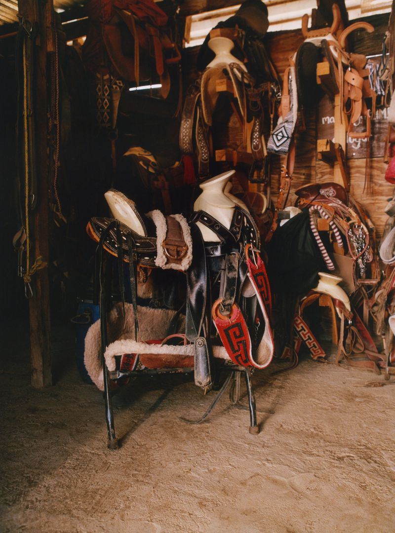 View of a horse saddle and tack displayed on a stand, surrounded by other saddles and equipment hanging on a wooden wall in an indoor setting.