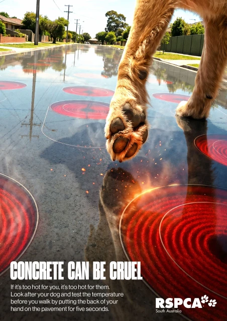 Concrete Can Be Cruel