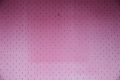 Textured magenta wallpaper background featuring a repeating small patterned motif and a centered rectangular patch